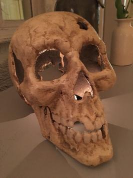 Großer anatomischer Schädel, in Gusseisen-weißer Auflage